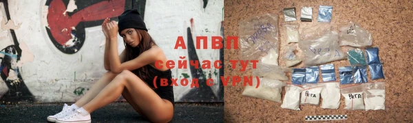 индика Заволжье