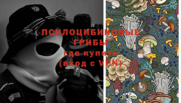 каннабис Пестово