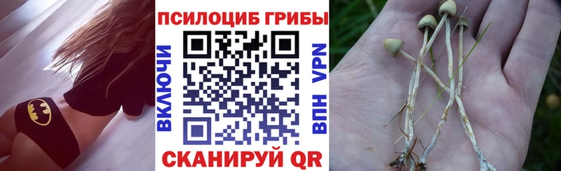 Галлюциногенные грибы Magic Shrooms  купить закладку  blacksprut ссылки  Наволоки 